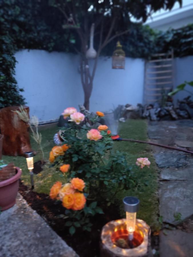 Modern Apartment Near Airport, Port & Beach Nea Alikarnassos エクステリア 写真